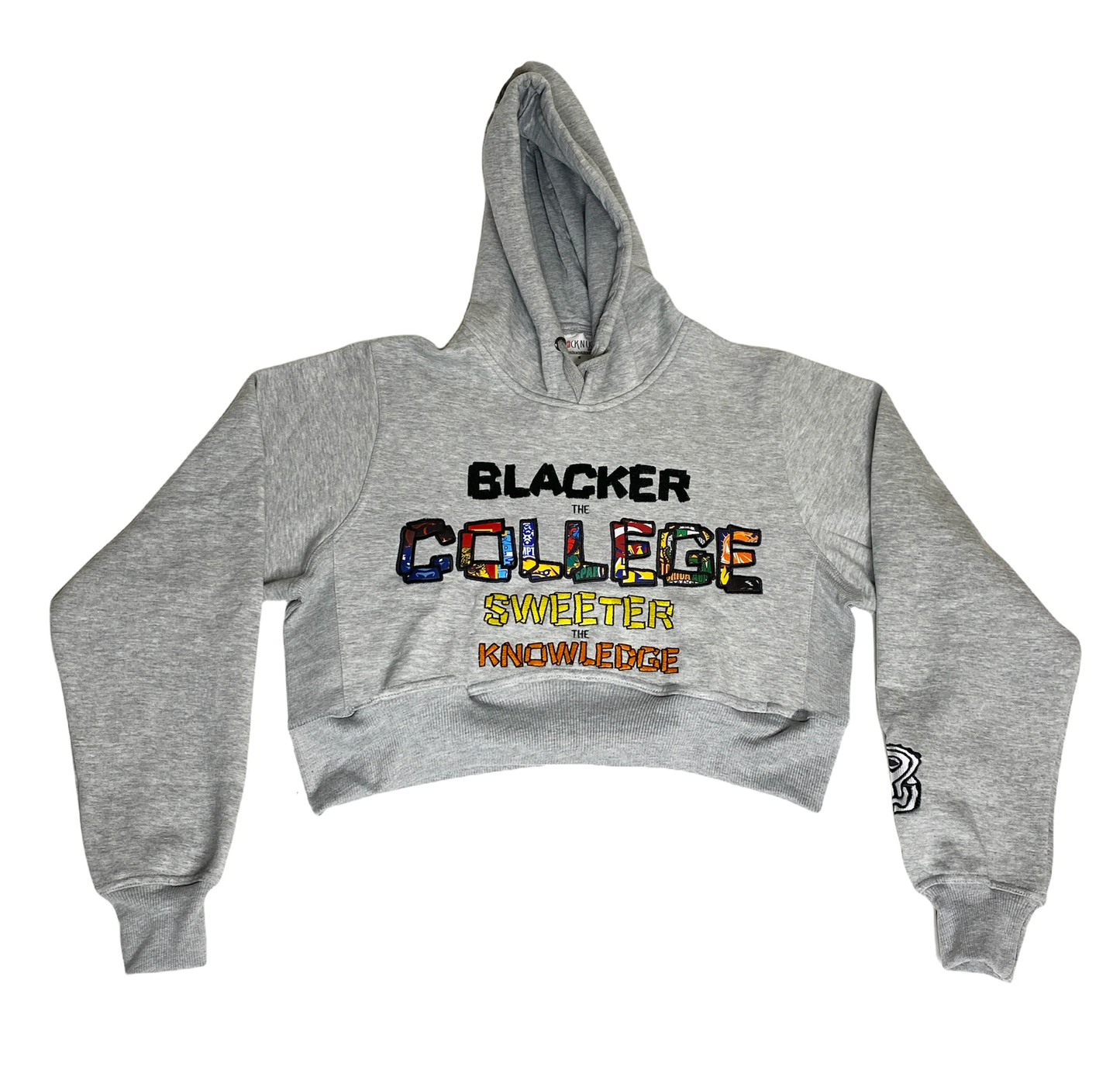 HBCU (Sweet Knowledge) Hoodie Cropped