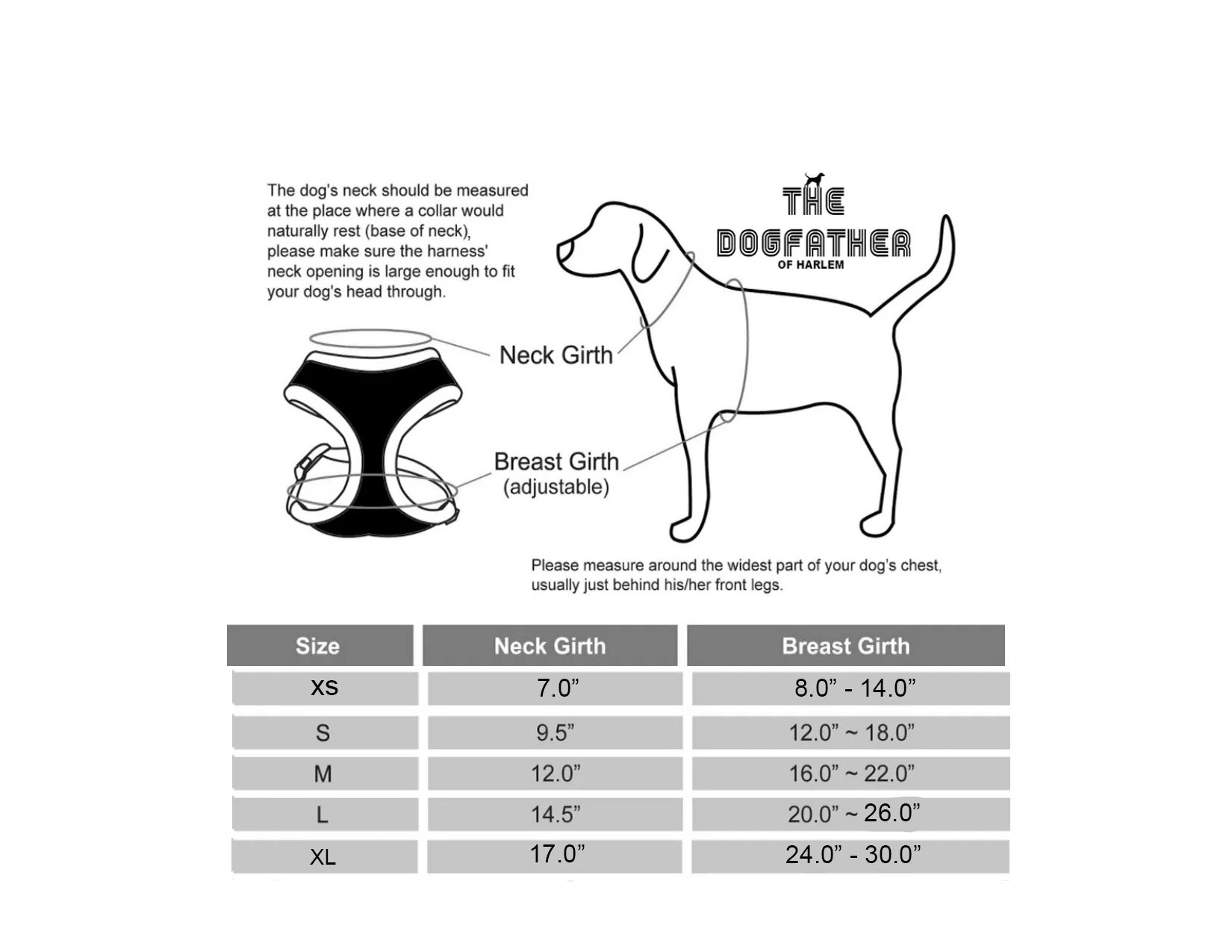 Dog Set (Harness + Leash)