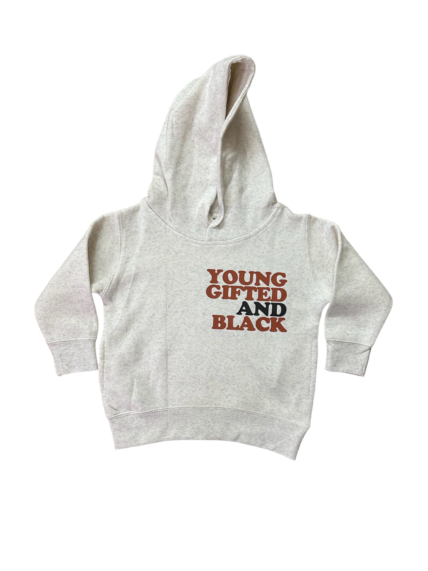 Young Gifted & Black Kids Toddler Hoodie YGB